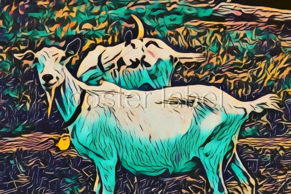 Digital Poster "goat" from farm – Minimalist Design